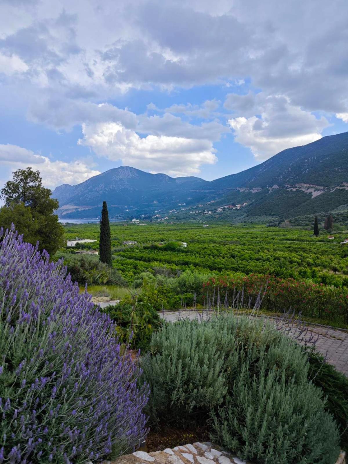 Melissafarm Guest House Epidaurus Bagian luar foto