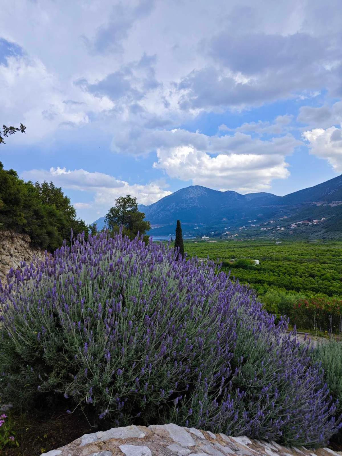 Melissafarm Guest House Epidaurus Bagian luar foto